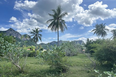 Земельный участок в Хуа Хине, Таиланд 1600м2 № 169497 - фото 7