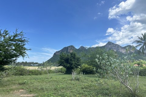 Земельный участок в Хуа Хине, Таиланд 1600м2 № 169497 - фото 5