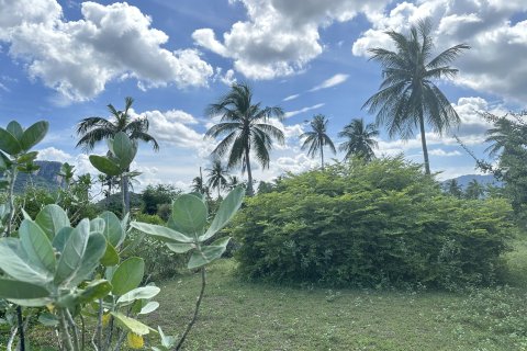 Земельный участок в Хуа Хине, Таиланд 1600м2 № 169497 - фото 11