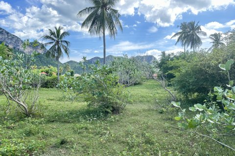 Земельный участок в Хуа Хине, Таиланд 1600м2 № 169497 - фото 8