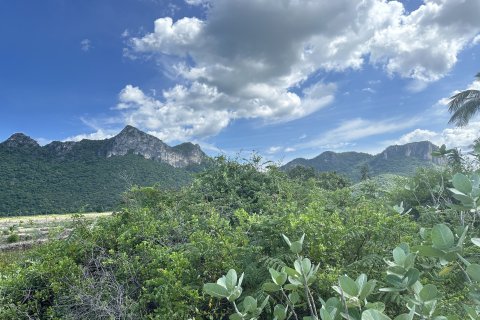 Земельный участок в Хуа Хине, Таиланд 1600м2 № 169497 - фото 10