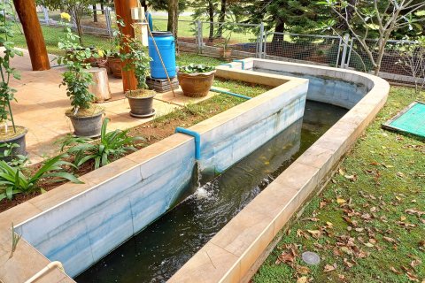 House in Pak Chong, Thailand 3 bedrooms № 153007 - photo 17