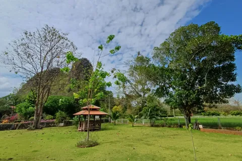 House in Pak Chong, Thailand 3 bedrooms № 153007 - photo 5