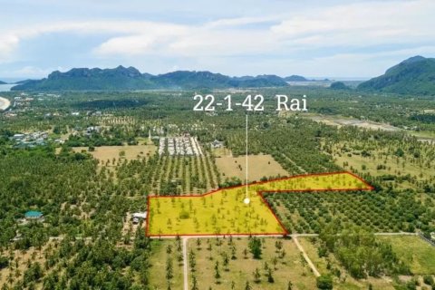 Grundstück in Sam Roi Yot, Thailand 35768 m2 № 222059 - Foto 9