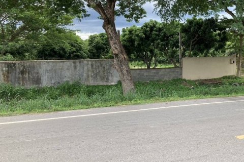 Земельный участок в Бан Тхи, Таиланд 17600м2  № 158176 - фото 2