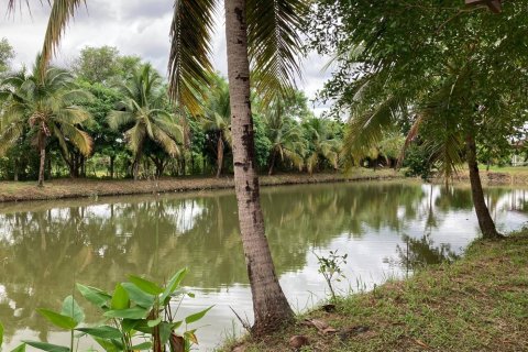 Земельный участок в Бан Тхи, Таиланд 17600м2  № 158176 - фото 5