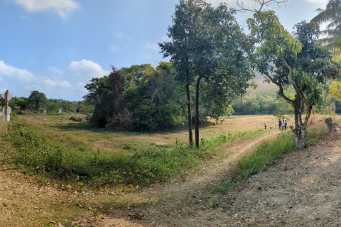 Terrain à Phang Nga, Thaïlande 4570 m2 № 170626 - photo 4
