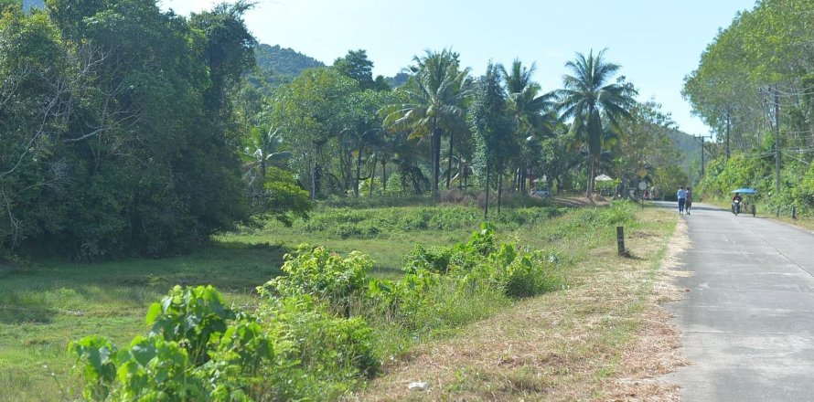 Terrain à Phang Nga, Thaïlande 4570 m2 № 170626