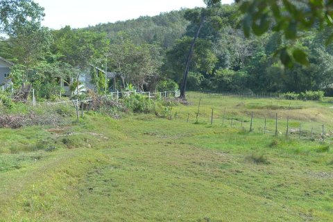 Terrain à Phang Nga, Thaïlande 4570 m2 № 170626 - photo 3