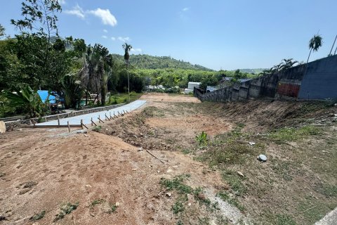Terrain à Phuket, Thaïlande 2220 m2 № 170624 - photo 2