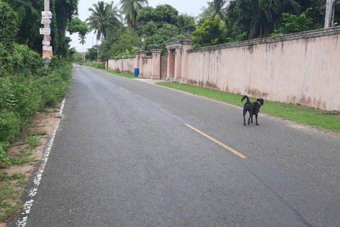 Дом в Паттайе, Таиланд с 3 спальнями  № 158661 - фото 10
