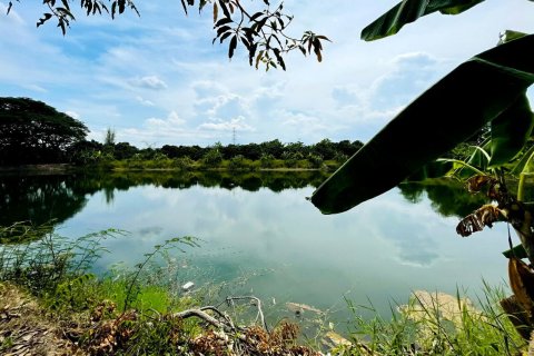 Land in Chiang Mai, Thailand № 159982