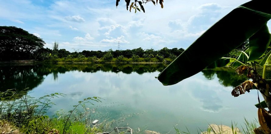 Terrain à Chiang Mai, Thaïlande № 159982