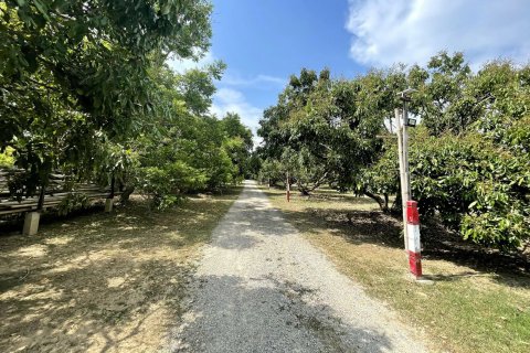 Land in Chiang Mai, Thailand № 159982 - photo 3