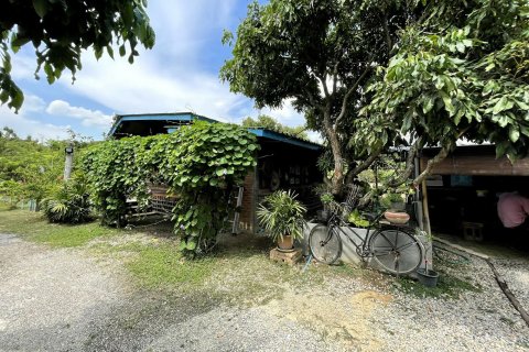 Terrain à Chiang Mai, Thaïlande № 159982 - photo 2