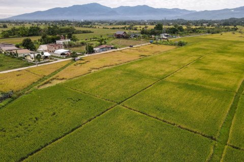 Land in Chiang Mai, Thailand № 159985 - photo 2