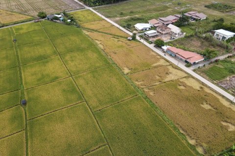 Земельный участок в Чиангмае, Таиланд  № 159985 - фото 4