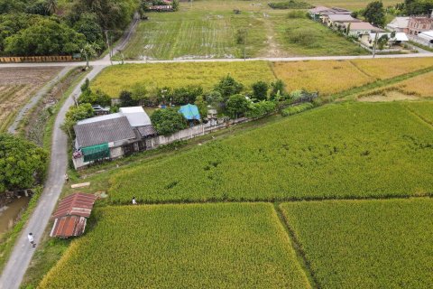 Land in Chiang Mai, Thailand № 159985