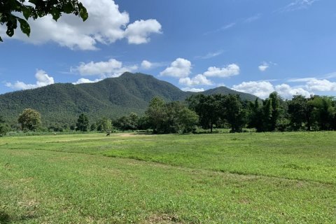 Land in Chiang Mai, Thailand № 159983 - photo 3