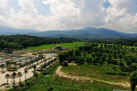 Land in Chiang Mai, Thailand № 159984 - photo 4