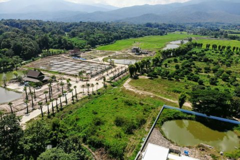 Terrain à Chiang Mai, Thaïlande № 159984 - photo 3