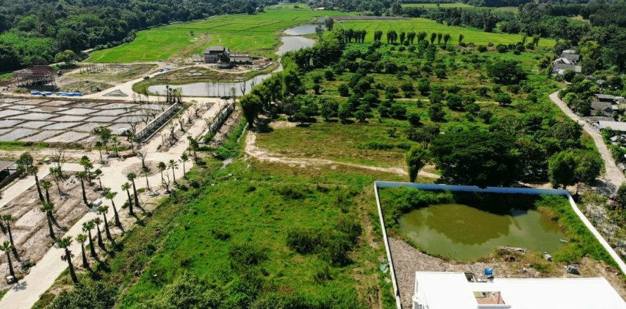 Land in Chiang Mai, Thailand № 159984