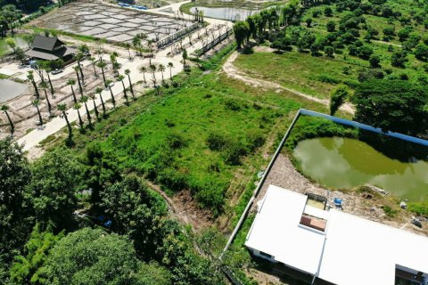 Land in Chiang Mai, Thailand № 159984 - photo 2