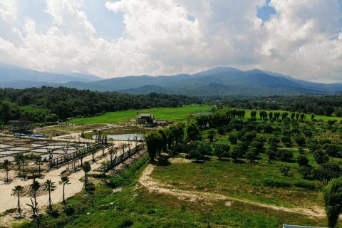 Land in Chiang Mai, Thailand № 159984 - photo 4