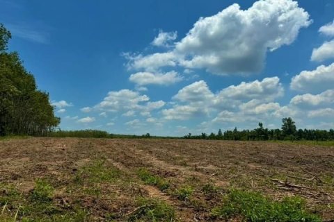 Terrain à Sadao, Thaïlande 332 m2 № 158588 - photo 5