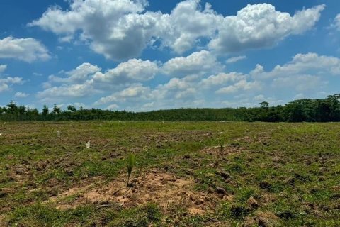 Terrain à Sadao, Thaïlande 332 m2 № 158588 - photo 3