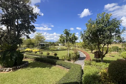 Дом в Чиангмае, Таиланд с 5 спальнями  № 158593 - фото 8