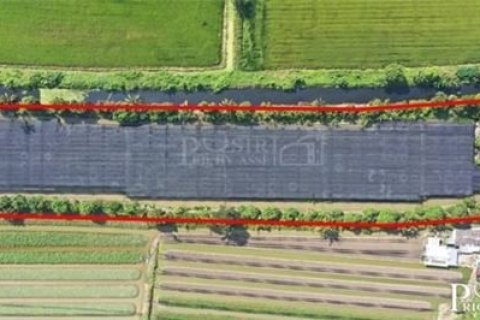 Land in Krathum Baen, Thailand 9600 sq.m. № 169161 - photo 3