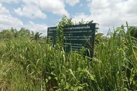 Земельный участок в Хуа Хине, Таиланд 21188м2  № 169163 - фото 7