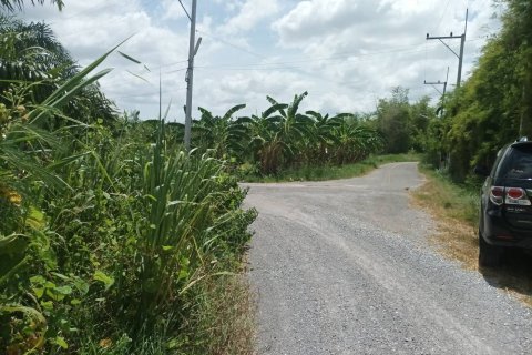 Земельный участок в Хуа Хине, Таиланд 21188м2  № 169163 - фото 10