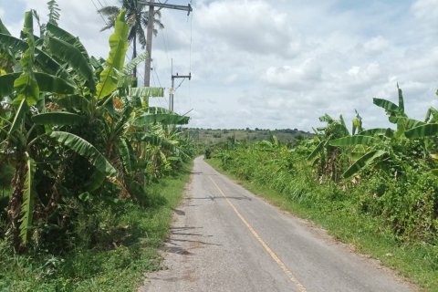 Земельный участок в Хуа Хине, Таиланд 21188м2  № 169163 - фото 11