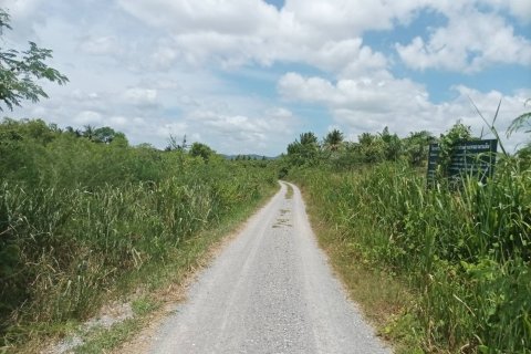 Земельный участок в Хуа Хине, Таиланд 21188м2  № 169163 - фото 9