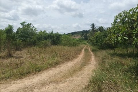 Земельный участок в Хуа Хине, Таиланд 21188м2  № 169163 - фото 5