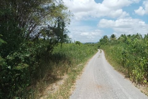 Земельный участок в Хуа Хине, Таиланд 21188м2  № 169163 - фото 6