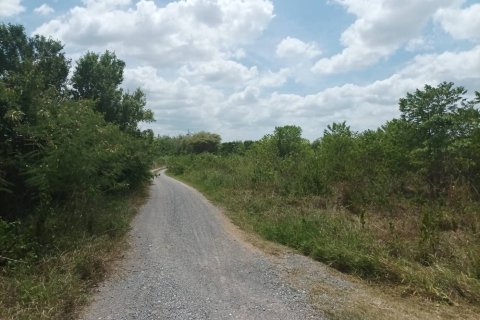 Земельный участок в Хуа Хине, Таиланд 21188м2  № 169163 - фото 4