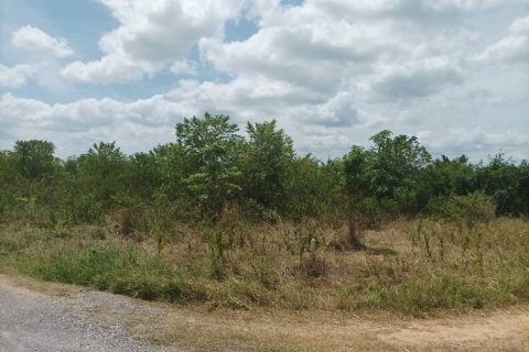 Земельный участок в Хуа Хине, Таиланд 21188м2  № 169163 - фото 3