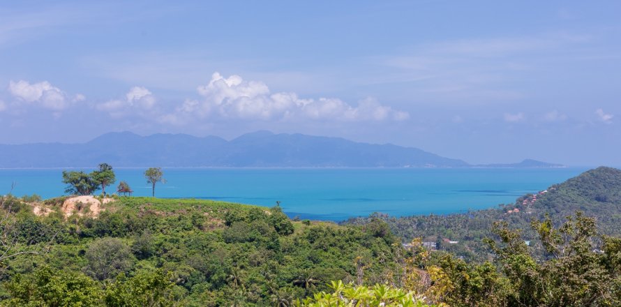 Maison à Ko Samui, Thaïlande 4 chambres № 164912