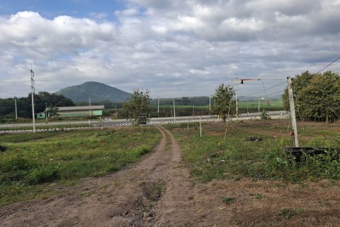Land in Wang Saphung, Thailand 11200 sq.m. № 163148 - photo 8