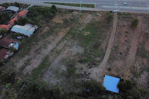 Land in Wang Saphung, Thailand 11200 sq.m. № 163148 - photo 5