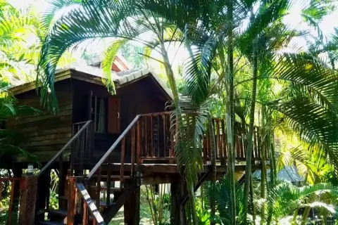 Вилла в Ханг Донге, Таиланд с 5 спальнями  № 148716 - фото 5