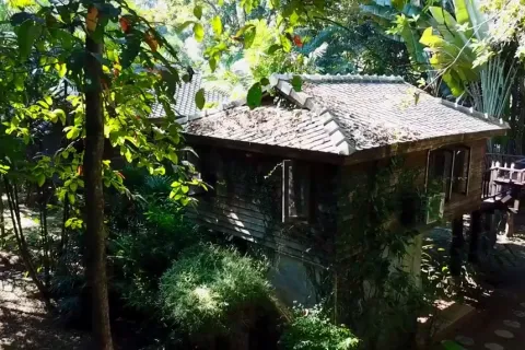 Вилла в Ханг Донге, Таиланд с 5 спальнями  № 148716 - фото 13