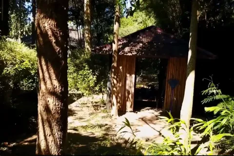 Вилла в Ханг Донге, Таиланд с 5 спальнями  № 148716 - фото 17