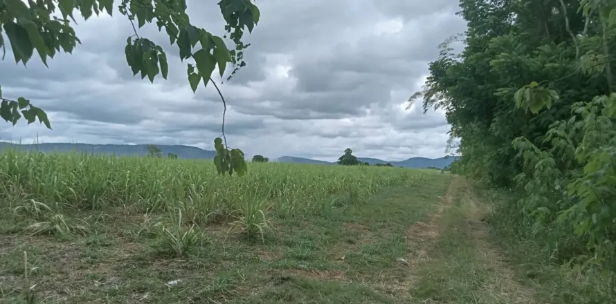 Земельный участок в Пак Чонге, Таиланд 8000м2  № 149153