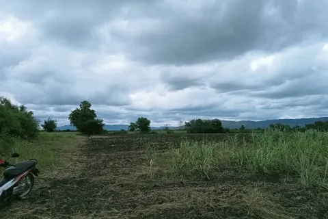 Земельный участок в Пак Чонге, Таиланд 8000м2  № 149153 - фото 3