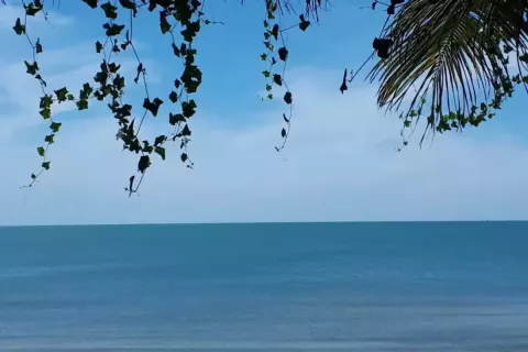 Кондоминиум с 3 спальнями в Накхонситхаммарате, Таиланд № 137847 - фото 12