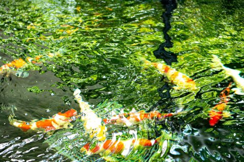 Condo in Bangkok, Thailand, 2 bedrooms  № 157507 - photo 5